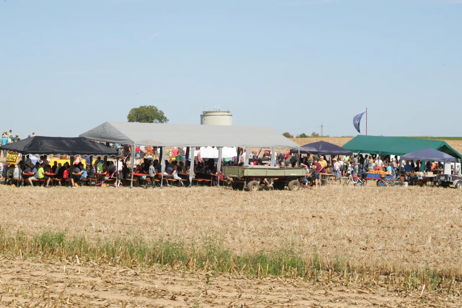 Grumbeerfescht auf der Hohl in Rülzheim (Südpfalz) am 06.09.2026. Foto: André Braselmann