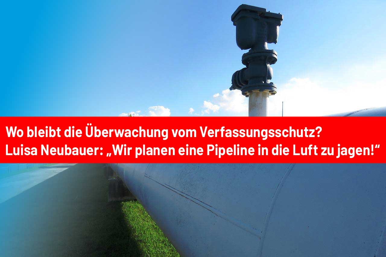 Luisa Neubauer (Fridays for Future): “Wir planen eine Pipeline in die Luft zu jagen”
