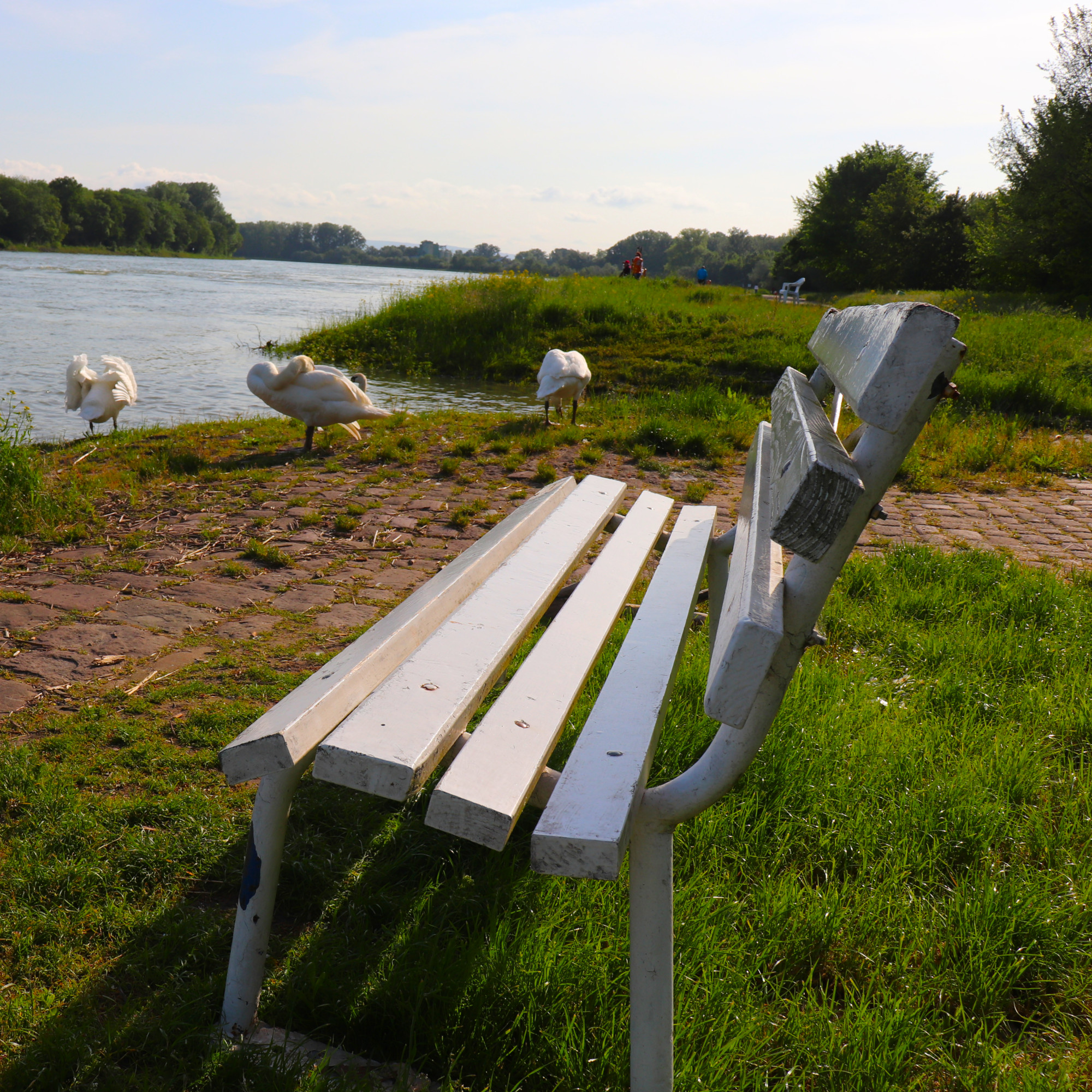 Tourismus in der Südpfalz
